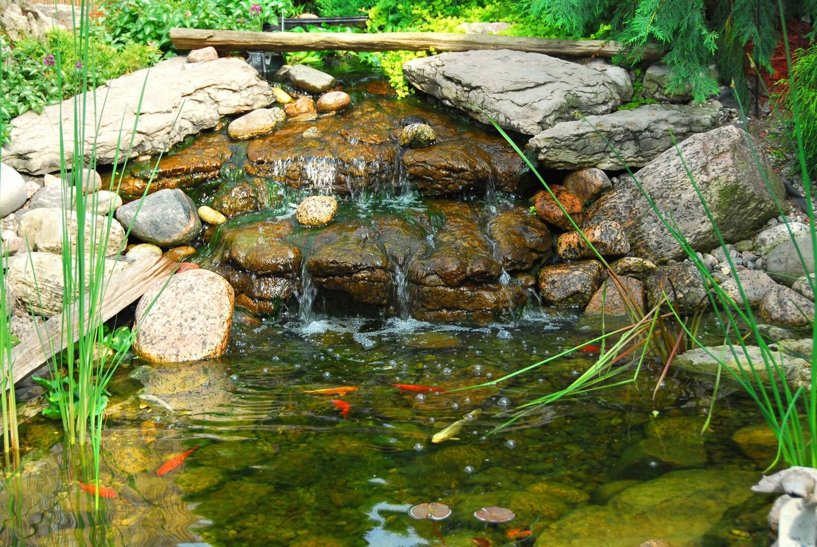 Commercial Lawn Care Livingston NJ