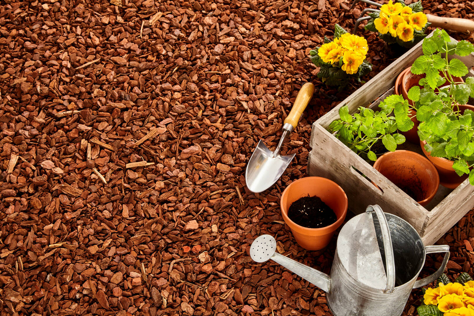 Professional Tree Service Shaker Heights