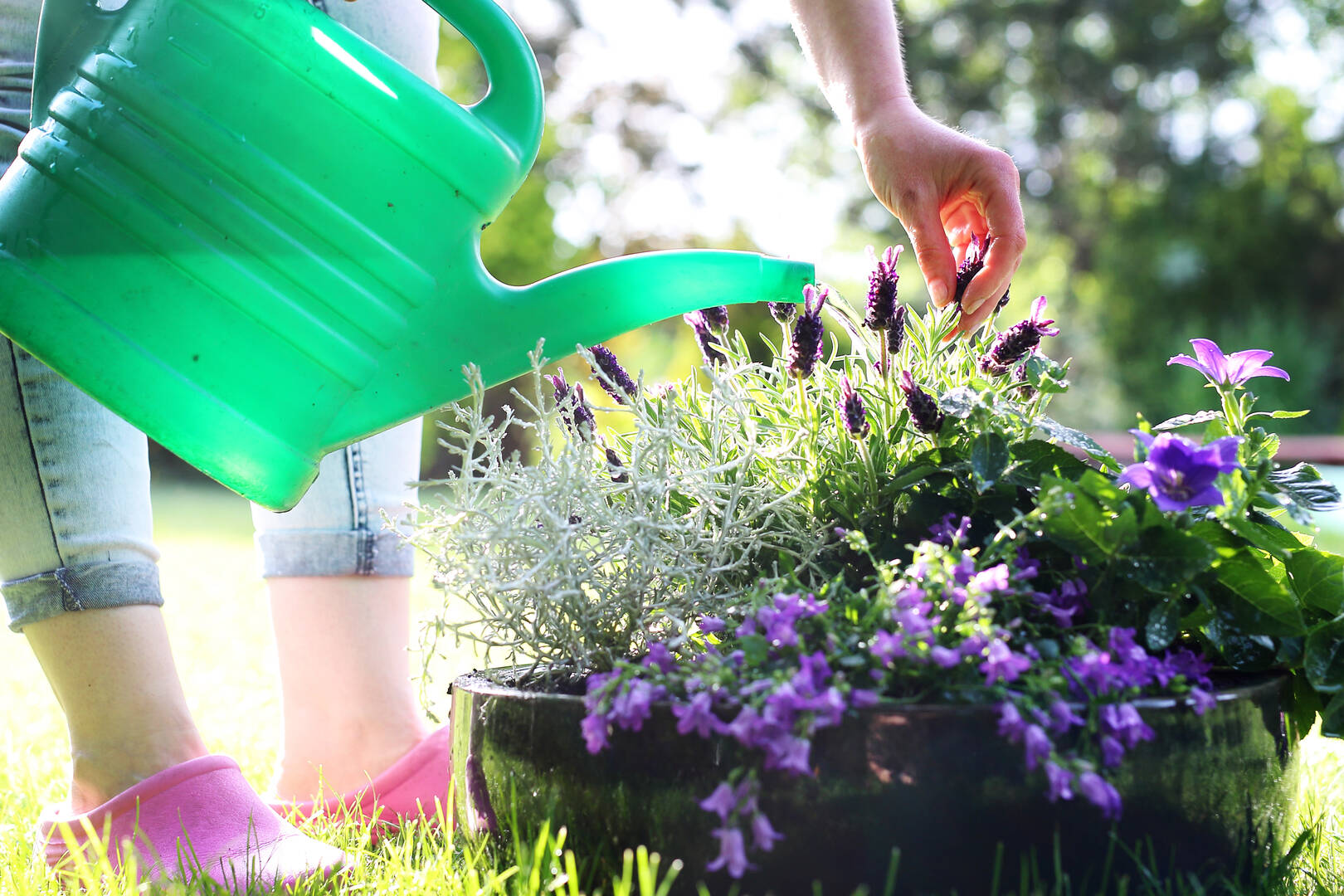 Commercial Landscaping Contractor In New Jersey