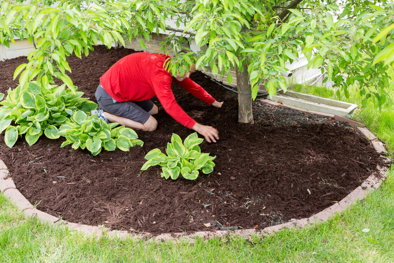 Pest Control Newport OR – pest control services