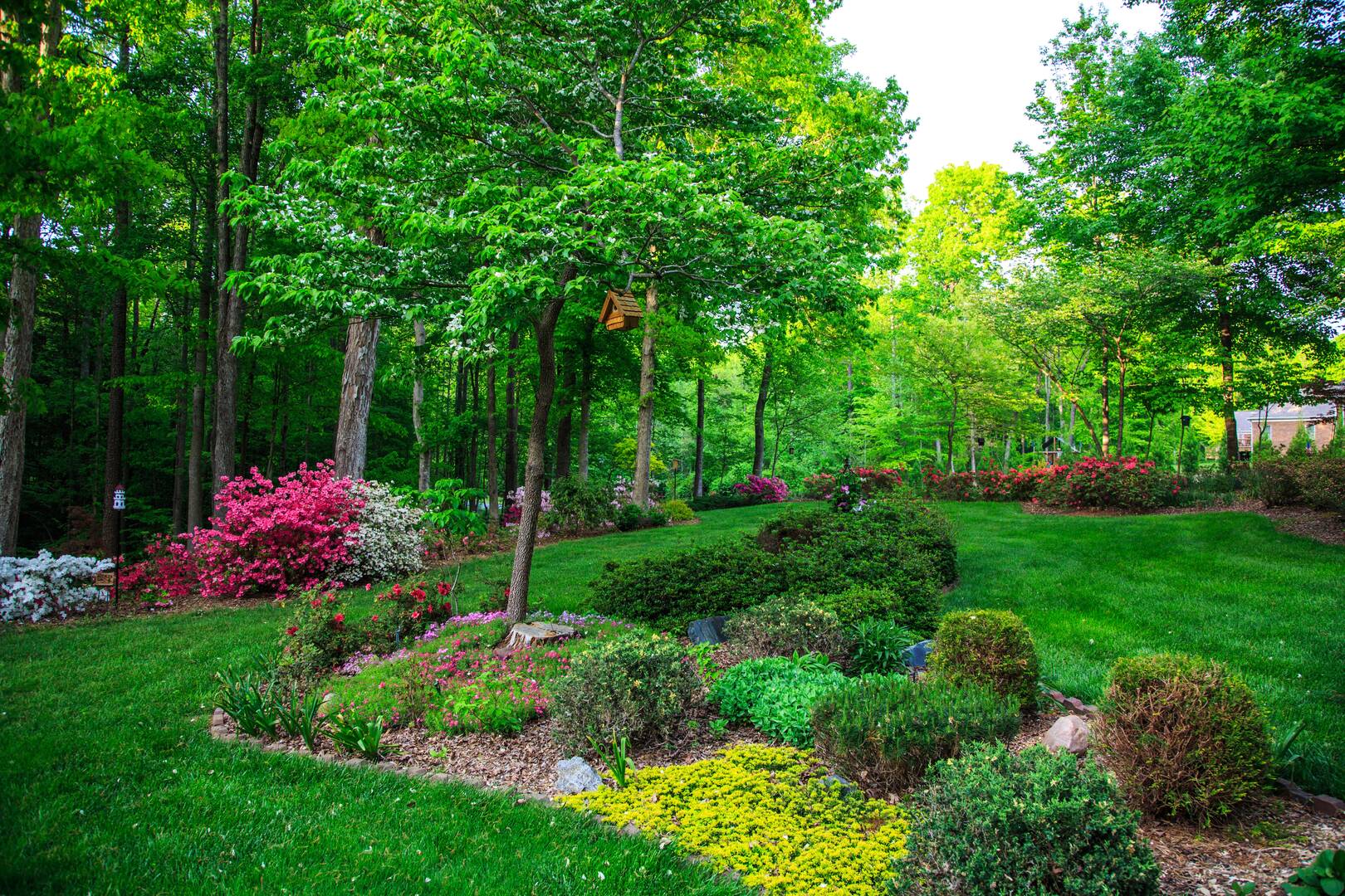 Tree Pruning Services Vero Beach