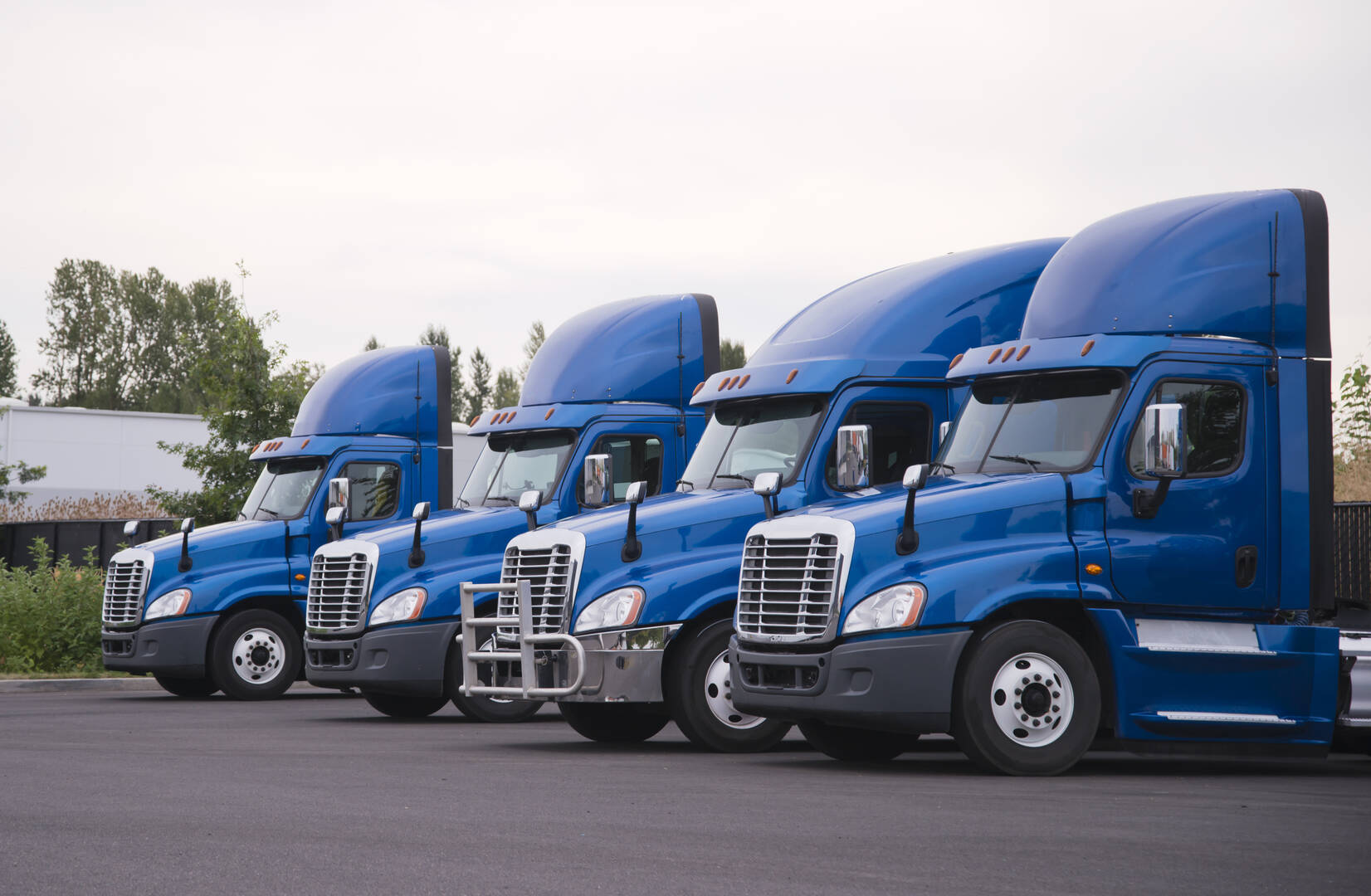 Moving Company Minnetonka MN
